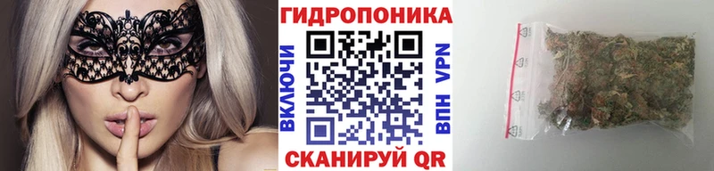 omg ONION  цена наркотик  Заринск  Конопля THC 21% 